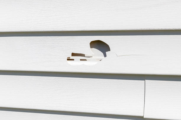 Best Siding Maintenance  in Eureka, MO